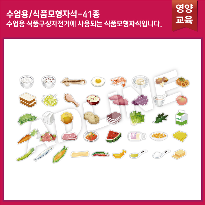 수업용_식품구성자전거 식품모형자석 41종