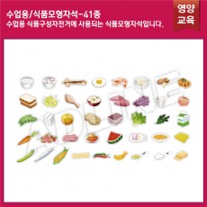 수업용_식품구성자전거 식품모형자석 41종