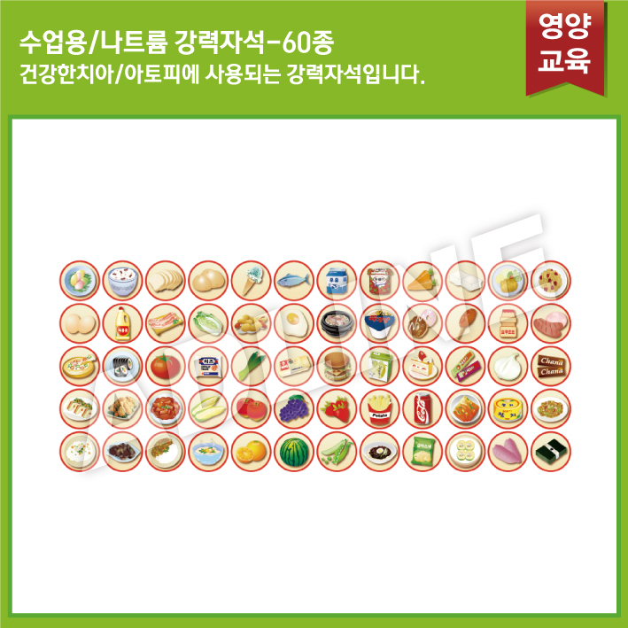 수업용_건강한치아,아토피 강력자석 60종
