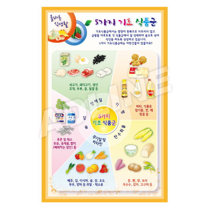 5가지기초식품군-2