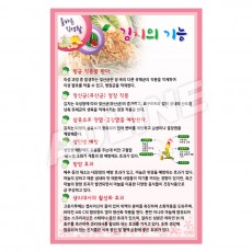 김치의기능-2