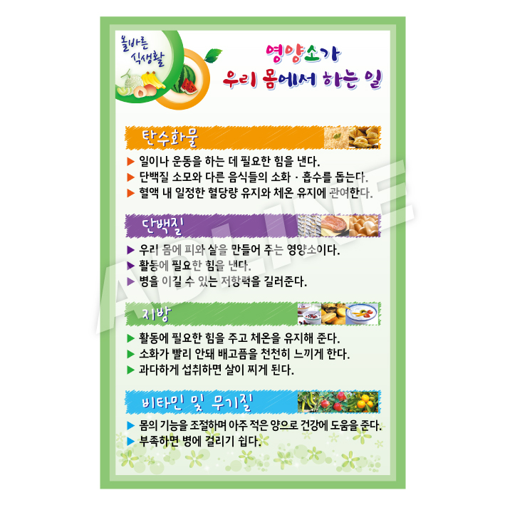 영양소가우리몸에서하는일-2