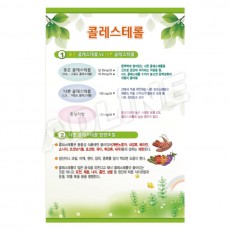 콜레스테롤