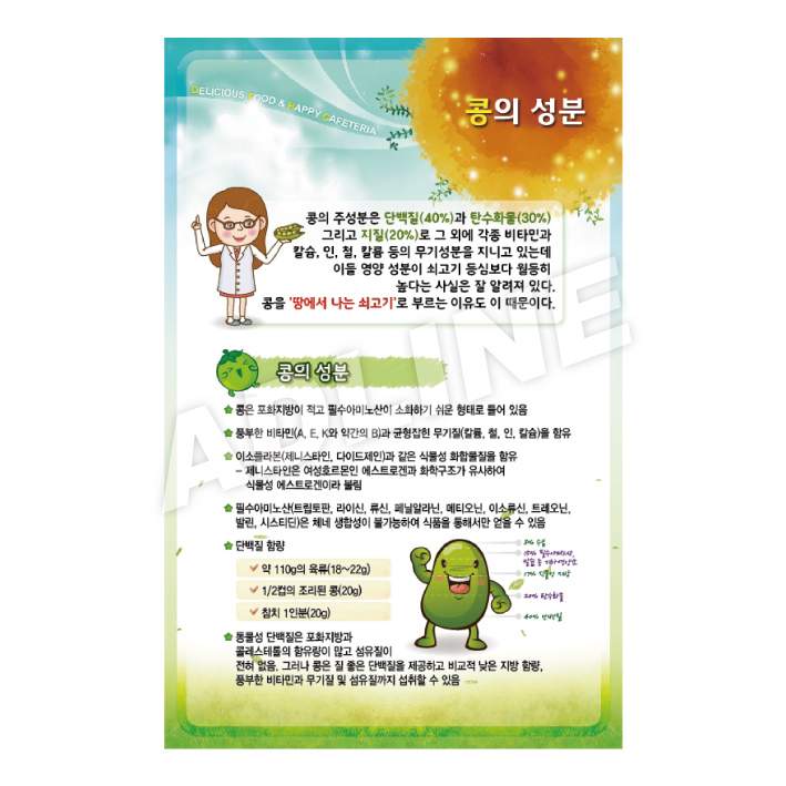 콩의성분