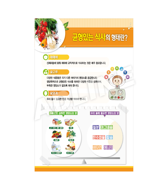 균형있는식사의형태란