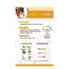 균형있는식사의형태란