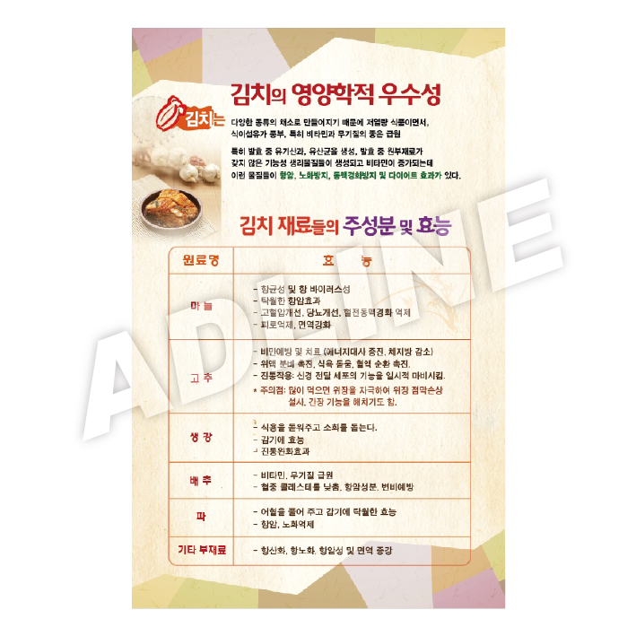 김치의영양학적우수성