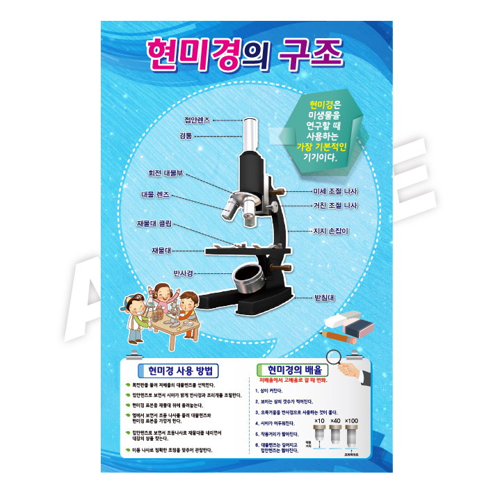 현미경의구조
