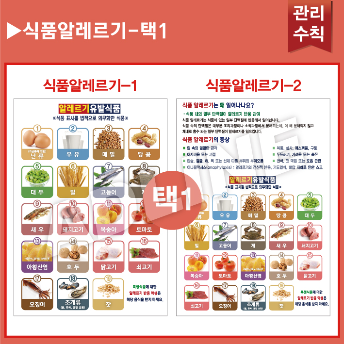 식품알레르기