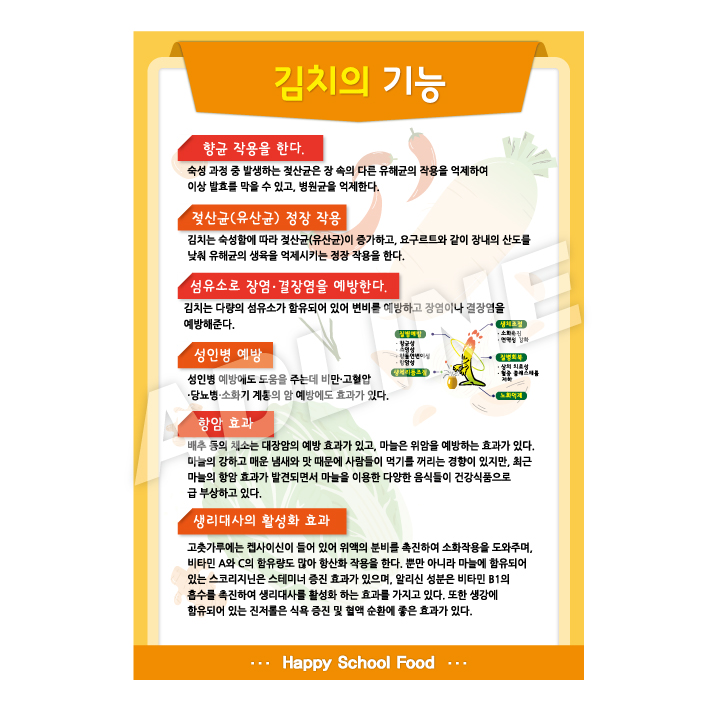 김치의기능-3